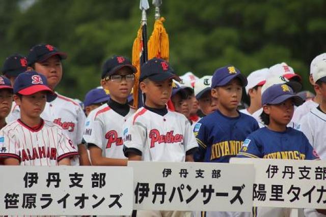 伊丹パンサーズ フォトアルバム 少年野球のポップアスリート